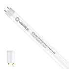 Ledvance LED Buis T8 Performance (EM/Mains) Standard Output 11.6W 1100lm - 833 Food | 120cm - Vervangt 36W