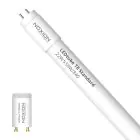 Noxion LED Buis T8 Avant (EM/Mains) Standard Output 19W 2300lm - 840 Koel Wit | 150cm - Vervangt 58W